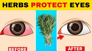 8 Herbs That Protect Eyes and Repair Vision