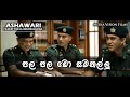 Ashawari Movie - පල පල ඩො සමනල්ලු - Hemal Ranasinghe - Rohan Ranathunga - Danushka Dias #foryoupage