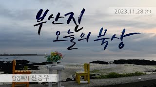 231129 수_내가 가는 길을 그가 아신다 ( 욥기 23:1~17)