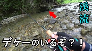 岩魚釣りで大物がヒット！直後にゲリラ雷雨食らった【渓流 ルアー】