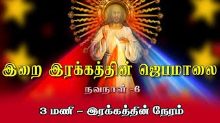 15.04.2020 - இறை இரக்கத்தின் ஜெபமாலை -புதன் - நவநாள் - 6 - CATHOLIC TV