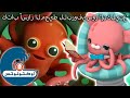 أوكتونوتس | 🐙 كتاب أسرار المحيط للبروفيسور 