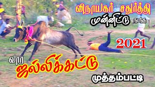 முத்தம்பட்டி வார வேடிக்கை #jallikattu video 👍