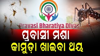 ପ୍ରବାସୀ ମଶା କାମୁଡ଼ା ଖାଇବା ଥୟ || দিনালিপিলাইভ