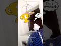 Adorable Pets Cute Jealousy 😍 💖 #cockatielscraze