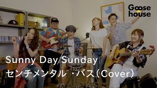 Sunny Day Sunday／センチメンタル・バス（Cover）