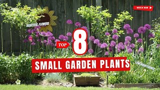 TOP 8 PLANTS for SMALL GARDENS! 🌻🌱🌸 // Gardening Ideas