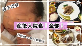 【産後Vlog】出産後、母子同室生活と豪華なご飯を紹介します♪