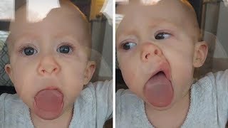 Adorable Baby Licks Glass Door