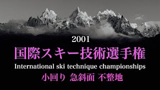 国際スキー技術選 2001  小回り 急斜面 不整地　International ski technique championships 2001