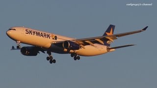 明日から運航停止 Skymark Airlines (SKY) Airbus A330-300 JA330E 羽田空港 着陸 2015.1.31