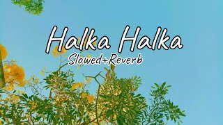 Halka Halka [slowed+reverb]- Sunidhi Chauhan, Divya Kumar| Just Feel It 🙂♥️🎵