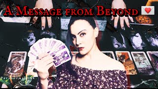 A Message from a Deceased Loved One 🕊️ | Timeless Tarot Reading