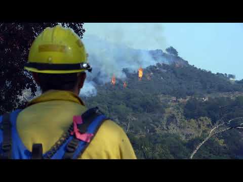 What are the long term effects of wildfires?