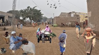 Beautiful Traditional Village Life in Pakistan | Beautiful Old Culture of Village in Punjab