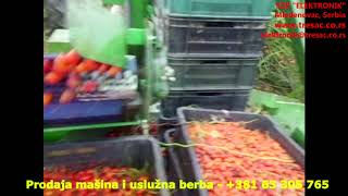 Berba šipurka 2016 / Rosehip harvest - SP 07