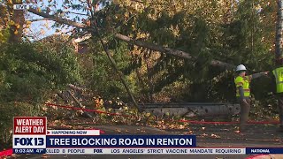 Power outages, trees blocking roads after Western Washington storm | FOX 13 Seattle