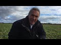 wisbech monitor farm catch crop and establishment try out