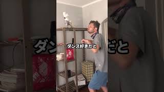 自分で羽根を抜いたオウム  #海外 #動物