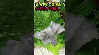 【閲覧注意】絶対に食べてはいけない深海生物を生で食う　#shorts