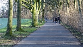 Fahrradfahrt Bremen Werdersee | Cycling Tour