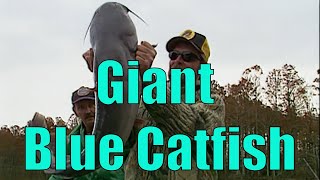 In-Fisherman Classics: Giant Blue Cats in Virginia's James River