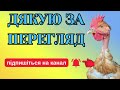 УКРАЇНСЬКІ ПОРОДИ КУРЕЙ @kyruvgaragi