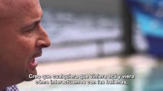 Video 6 – Entrevista Ken Peters