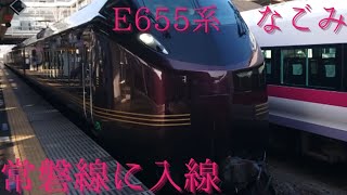 偕楽園観光客を乗せて常磐線を走るE655系なごみを撮影してきた