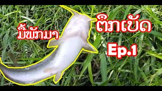 ຕຶກເບັດ ນ້ຳງື່ມ (Fishing at Nguem River) Saturday ວັນເສົາ  Ep1