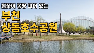 [부천 가볼만한곳] 봄꽃을 몽땅 구경 할 수 있는 부천 상동호수공원 | 봄나들이 | 산책장소 | 부천의봄