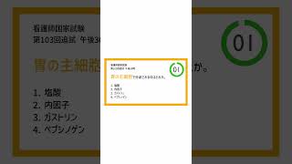 【1日1問】胃腺の分泌物質 #看護師国家試験