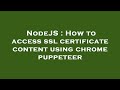 NodeJS : How to access ssl certificate content using chrome puppeteer