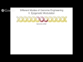 genome engineering basic principles