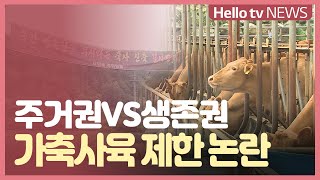 주거권vs생존권 가축사육 제한 논란