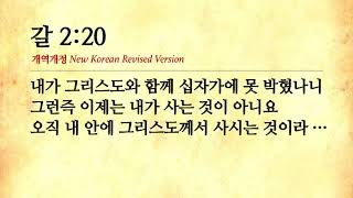 [뉴시티교리문답] 35. 우리가 오직 믿음으로 말미암아 은혜로만 구속받았다면, 이 믿음은 어디에서 온 것입니까?의 사본