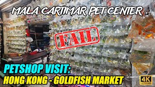 Petshop Visit: Goldfish Market - Mala Cartimar Na Lugar Sa Hong Kong