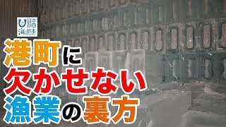 気仙沼と氷 日本財団 海と日本PROJECT in みやぎ 2019 #23