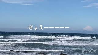 ギョエ〜平砂浦波情報