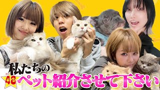 【最新版】新しくペットを飼ったメンバーがいるので紹介させてください！