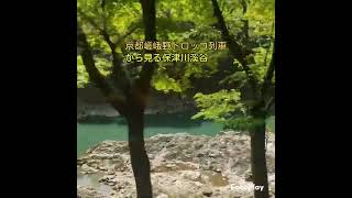 女二人京都旅『嵯峨野トロッコ列車から見る保津川溪谷の景色』