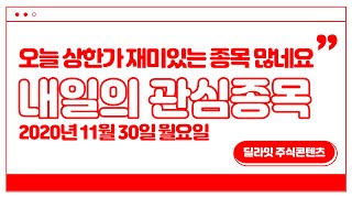 내일의 관심종목 11월 30일 단타매매 급등주발굴법 주식종목선정 딜라잇티비