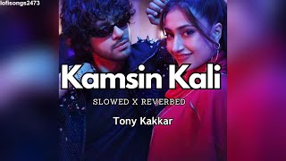 Kamsin Kali (Slowed X Reverbed) | #lofisongs | Tony Kakkar | Neha Kakkar | New Lofi Hindi Song 2024