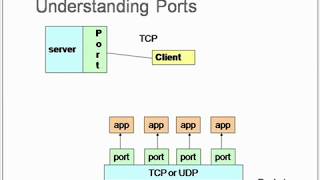 Socket Programming (an overview) plus java code demo