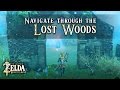 Tip for the Lost Woods Great Hyrule Forest Navigation Guide Breath of the Wild Zelda Tip for the Lost Woods Great Hyrule Forest Navigation Guide Breath of the Wild Zelda