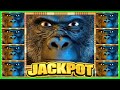 ★★HUGE JACKPOTS★★HIGH LIMIT★★GORILLA CHIEF SLOT MACHINE (WMS)