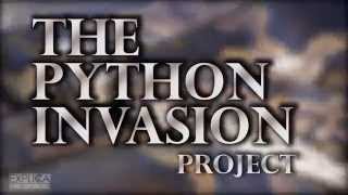 The Python Invasion Project The Lizard King