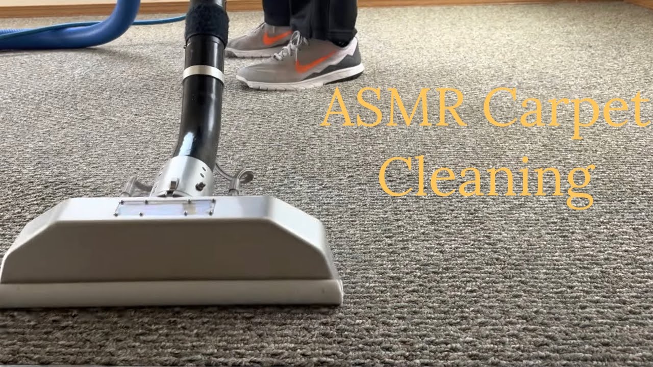 Asmr Carpet Cleaning Youtube