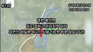 (매매보류)영천 북안면 임도 접하고 관리지역 임야 자연인 하실분 최고!! 사용가능한 부분 많습니다.!!