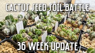 Cactus seed soil battle! | Episode 8: 36 week update | Soil differences are becoming obvious...